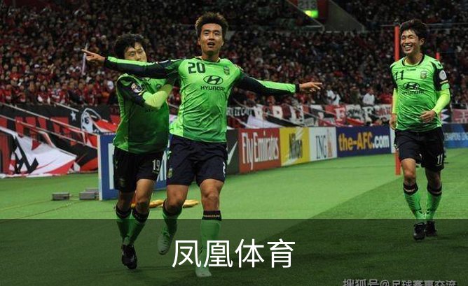凤凰体育概况